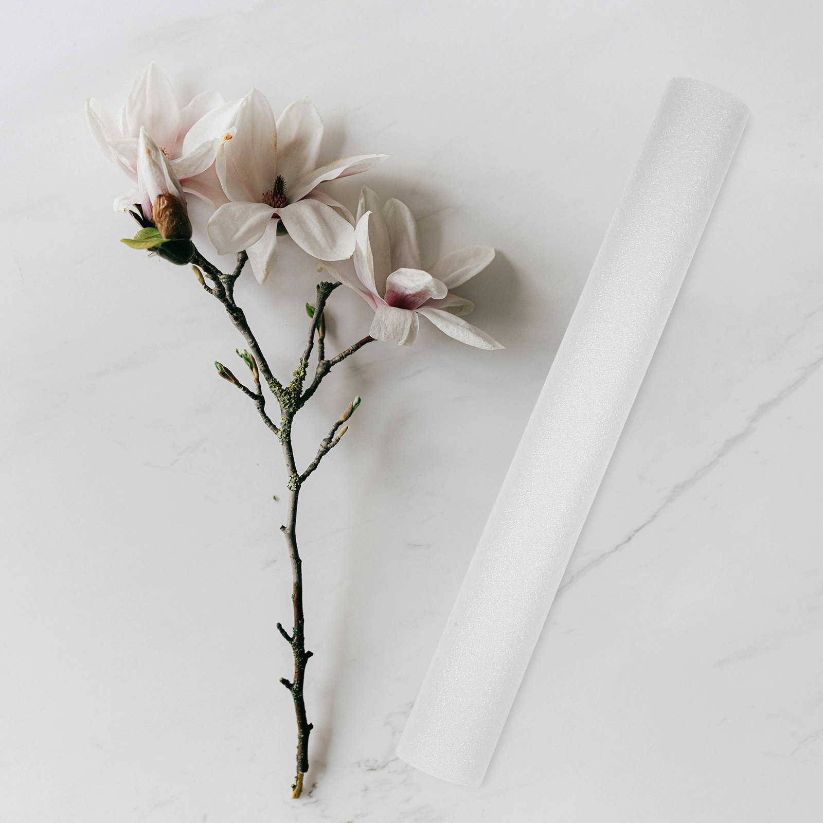 5 Varillas de Espuma Blanca de - Wedding Supply Decor reseña y precio