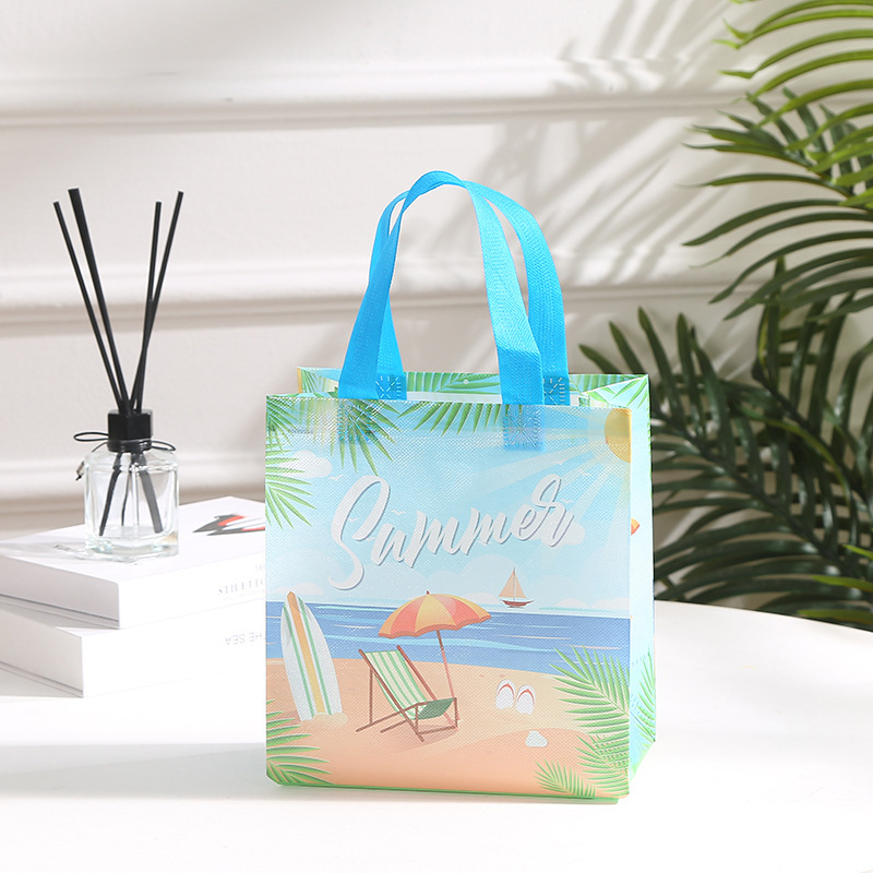 Bolsa de Regalo de Verano para - Wedding Supply Shops reseña y precio