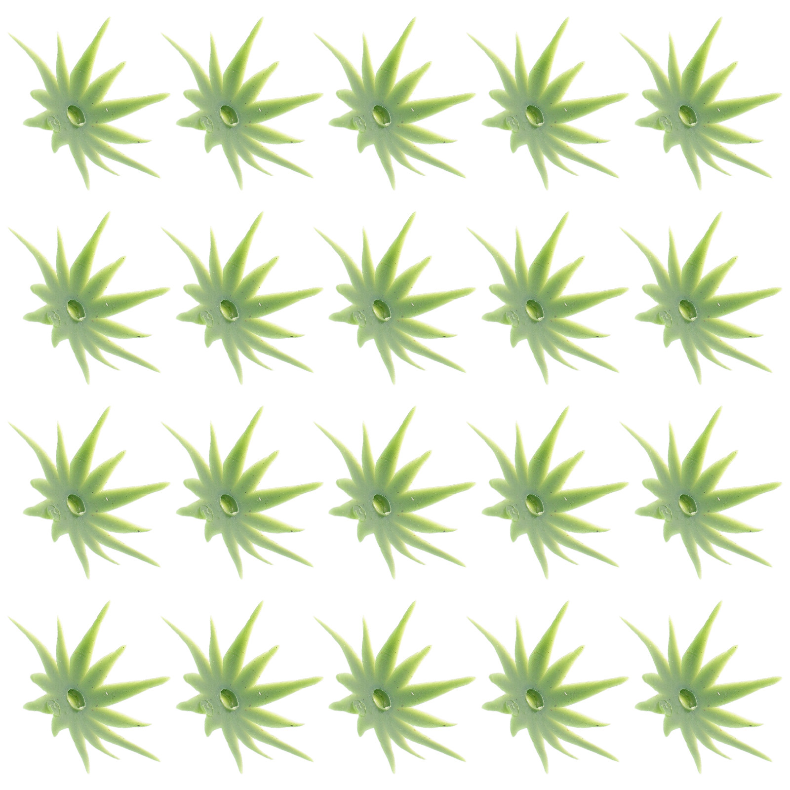 40 unidades de calices de flor - Wedding Floral Supply reseña y precio